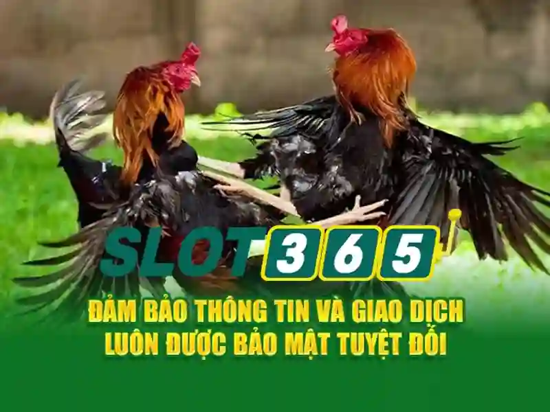 Slot365 an toàn không – Lợi thế và cạnh tranh