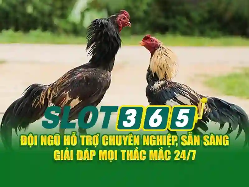 Slot365 an toàn không: Trải nghiệm uy tín và an tâm