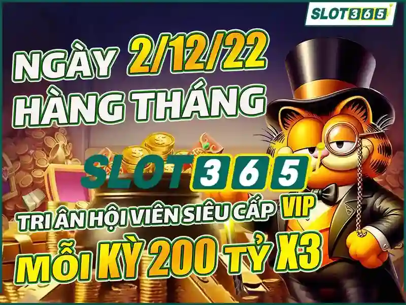 Trải nghiệm người dùng và phản hồi từ cộng đồng