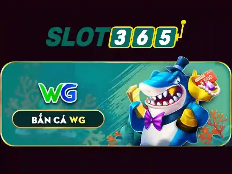 Giao diện và trải nghiệm người dùng