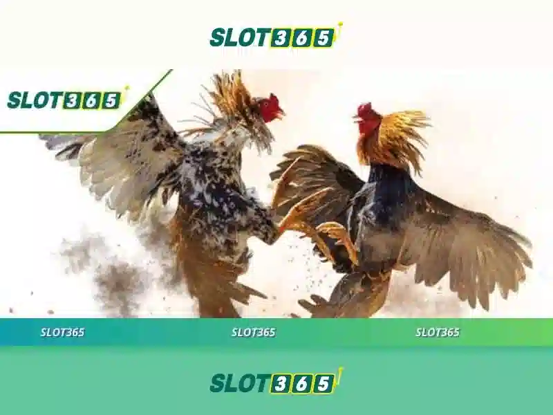 Slot365 – Đánh giá tổng quan nền tảng chơi slot<p><span style=