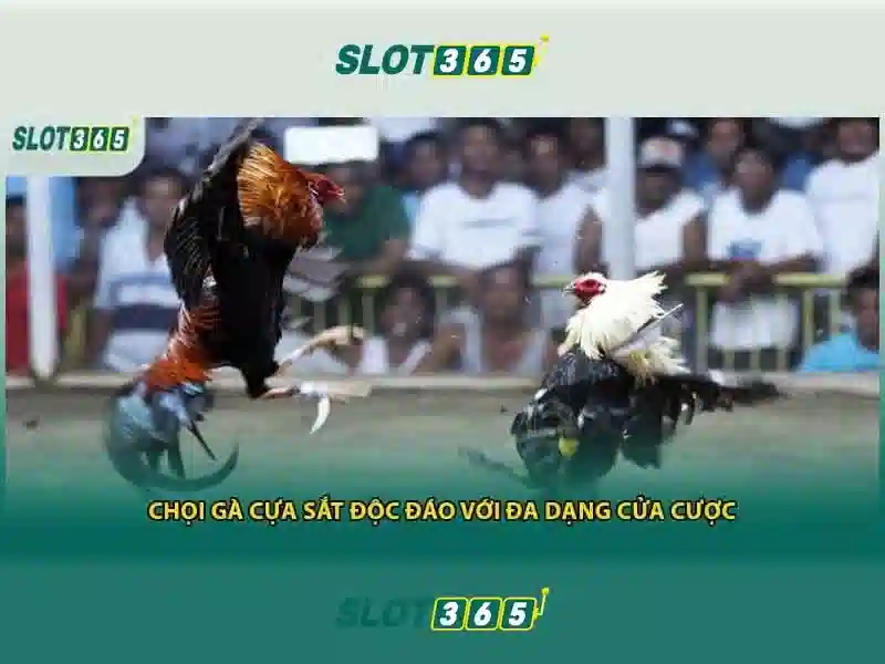 Slot365 – Khám phá thế giới máy xè bạc trực tuyến