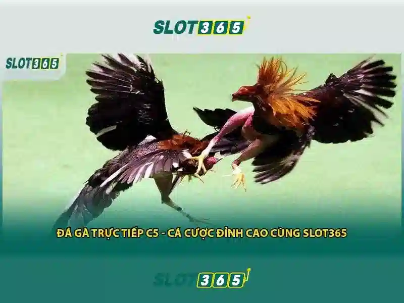 An toàn và bảo mật