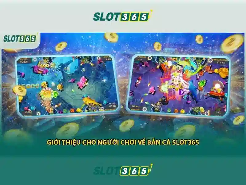 Slot365 – Cổng trò chơi máy đánh bạc trực tuyến