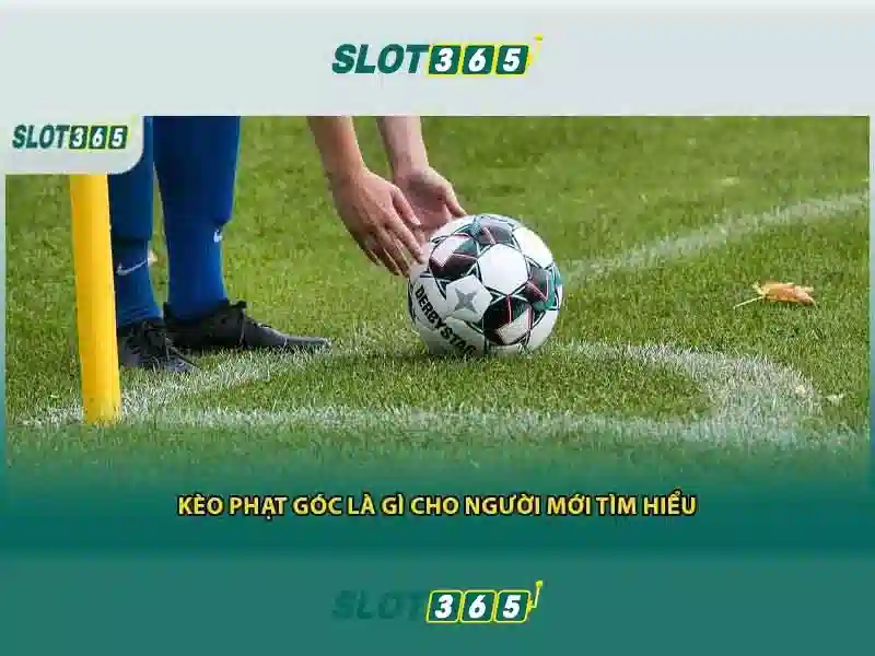 Tính năng nổi bật