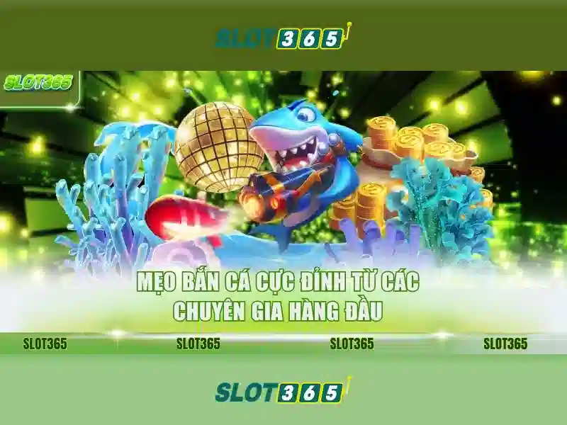 review Slot365 – tổng quan chủ đề và giá trị cốt lõi