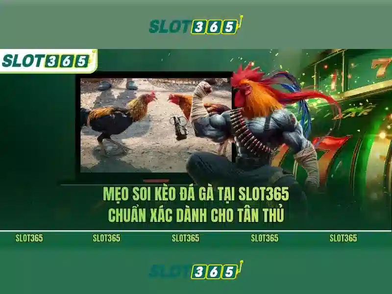 Danh mục trò chơi đa dạng tại Slot365
