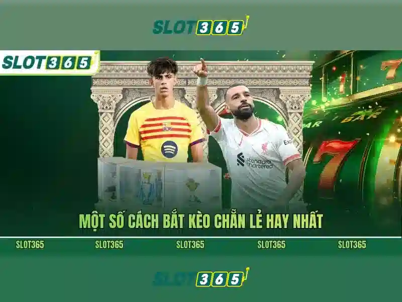 Slot365: Khám phá trải nghiệm chơi slot đỉnh cao