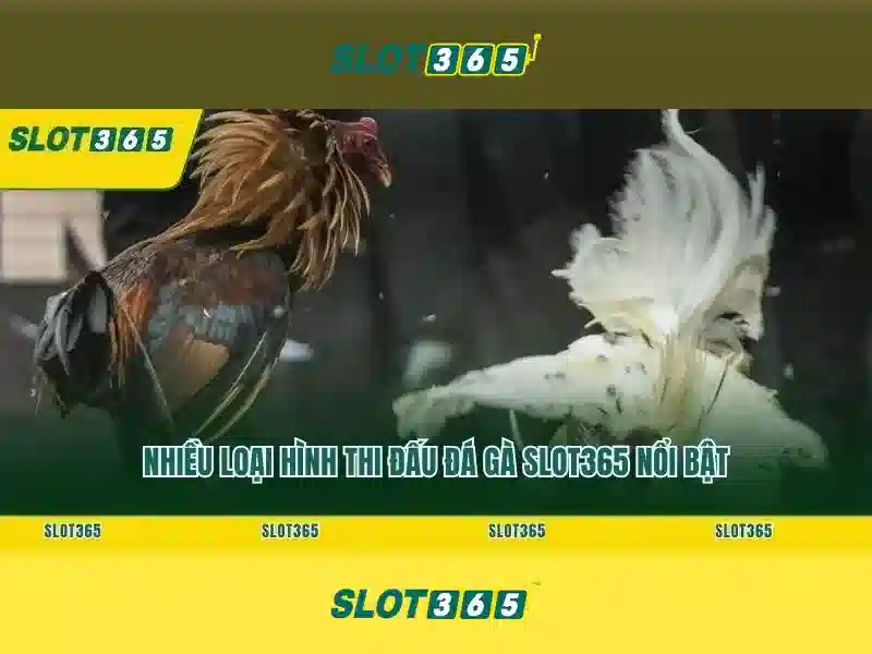 nhận thưởng Slot365: hành trình trải nghiệm và lợi ích