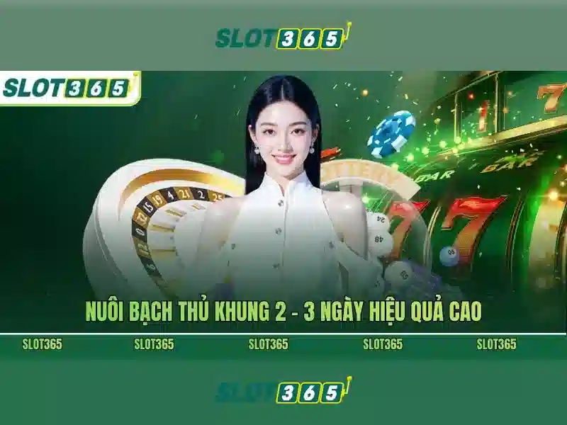 Trải nghiệm người dùng và thiết kế