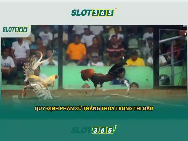 Slot365: Nền tảng slot trực tuyến an toàn và hấp dẫn