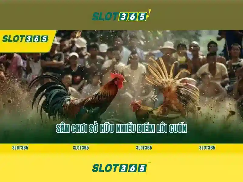 Nguồn gốc và sứ mệnh của slot365 tái