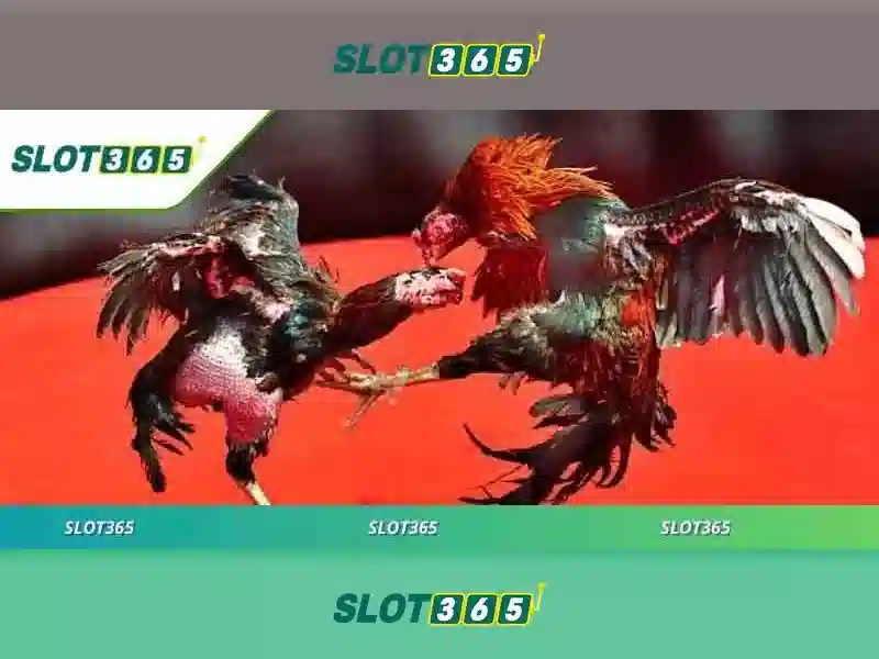 Slot365: Trải nghiệm slot trực tuyến hàng đầu