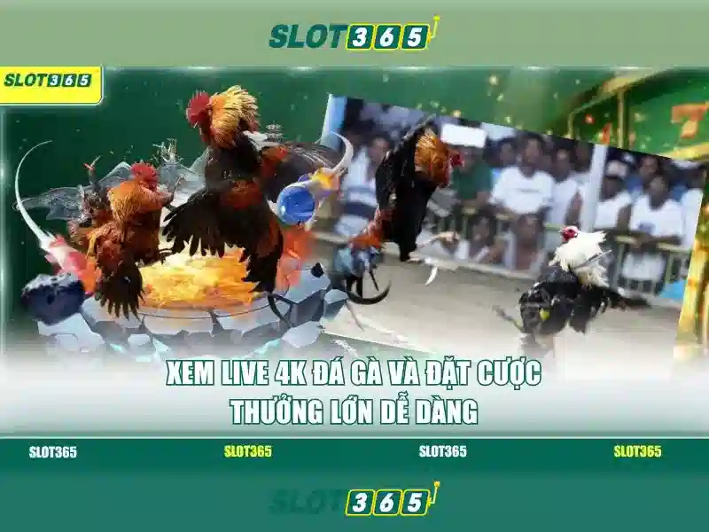 Giao diện người dùng thân thiện và trải nghiệm di động
