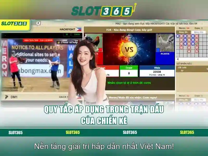 Trải nghiệm chơi đa dạng và tùy chỉnh