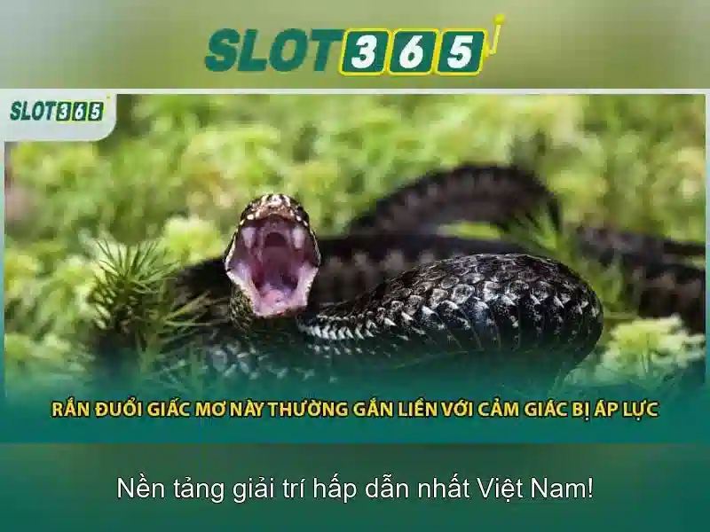 Slot365 là gì?