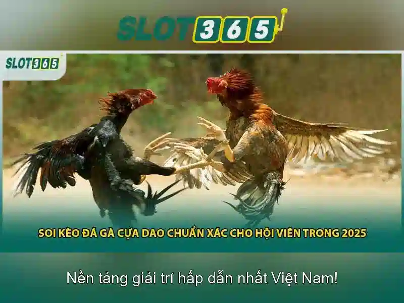 Đa dạng trò chơi và giải thưởng