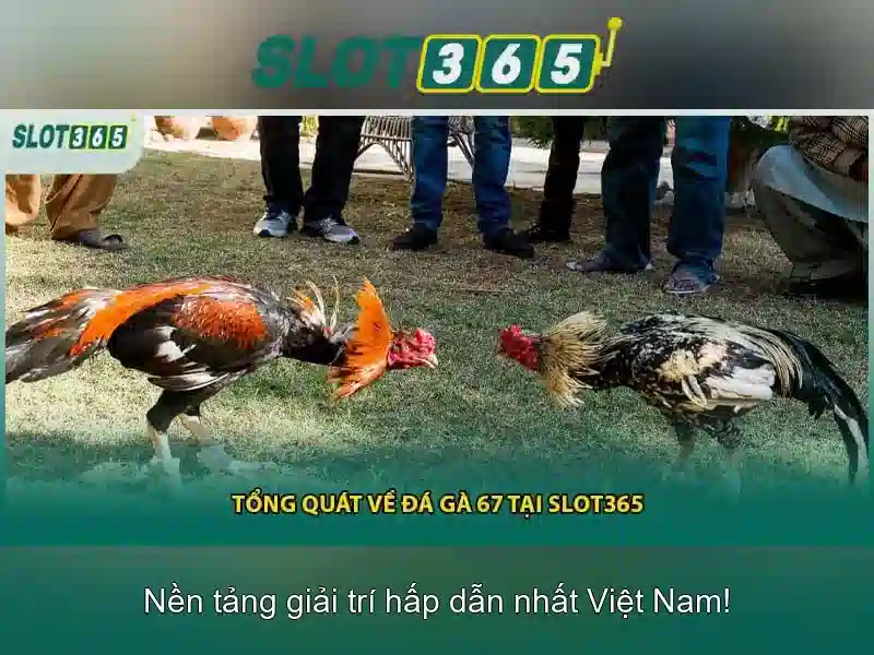 Cách chơi và an toàn khi truy cập Slot365\n\n<h>Khuyến mãi và thanh toán</h>\n<p><span style=