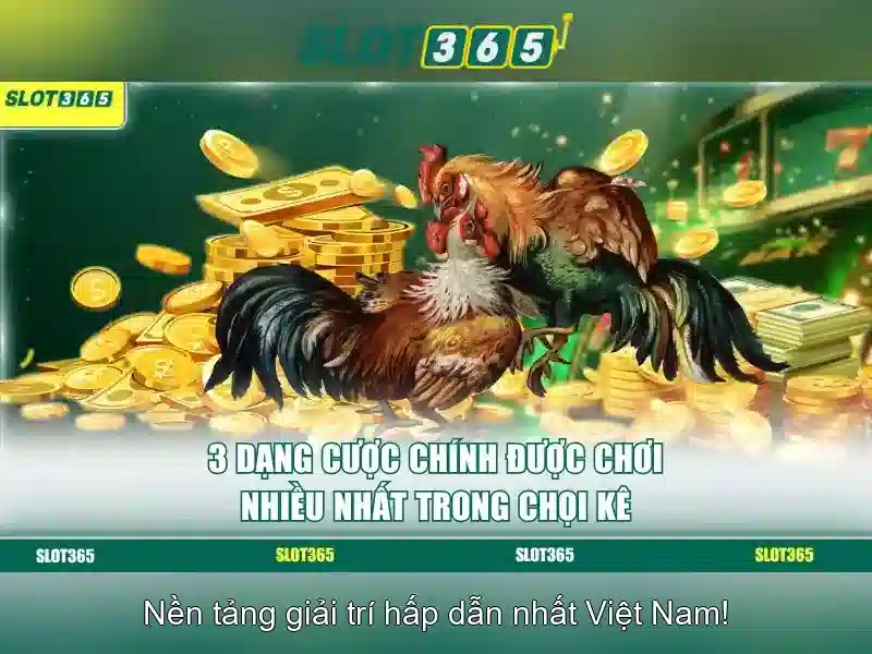 Khuyến mãi và hỗ trợ