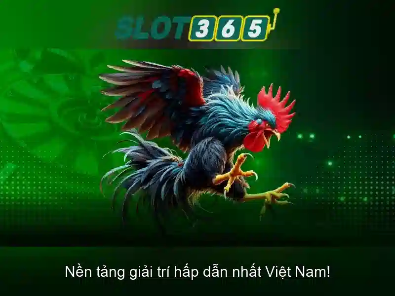 Slot365 - Trải nghiệm chơi slot trực tuyến hàng đầu