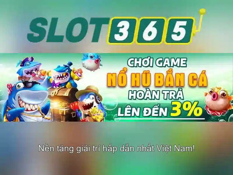 Hỗ trợ và cộng đồng