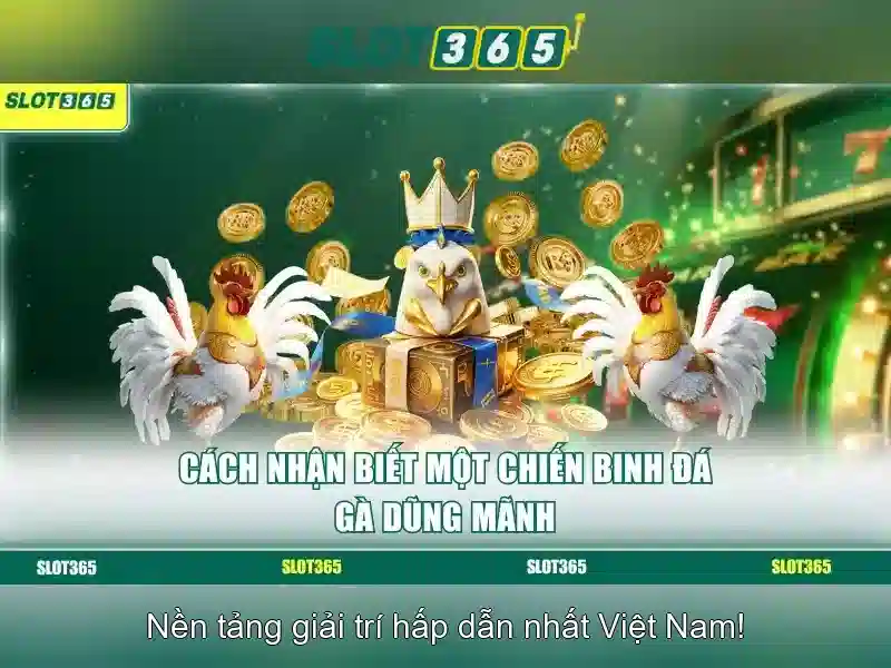 Slot365 - Sàn chơi slot trực tuyến hàng đầu