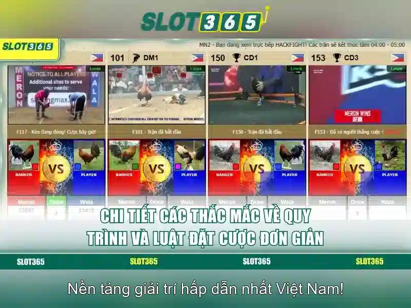 Slot365 – Nhà cái slot trực tuyến uy tín và an toàn