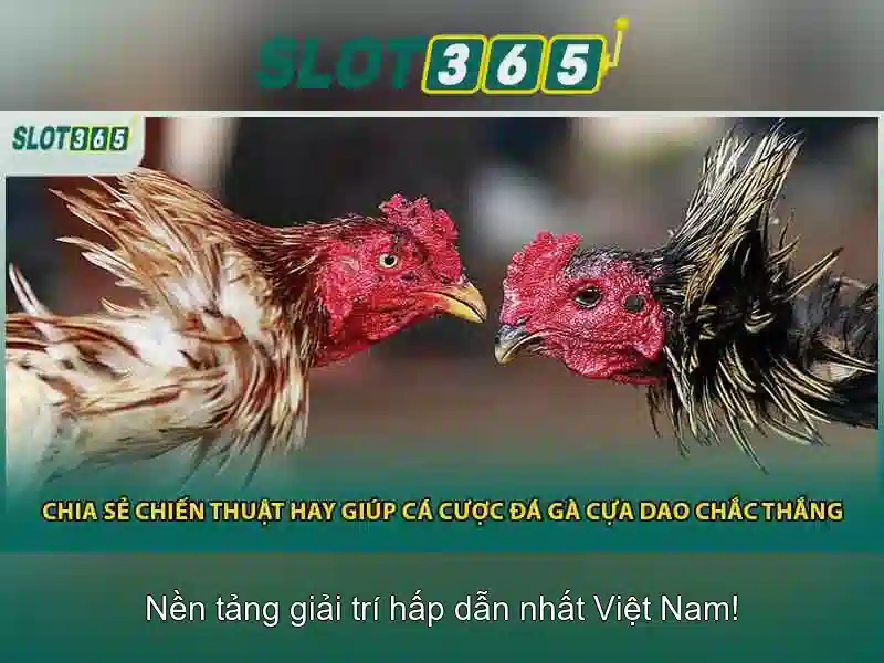 Đánh giá tổng thể