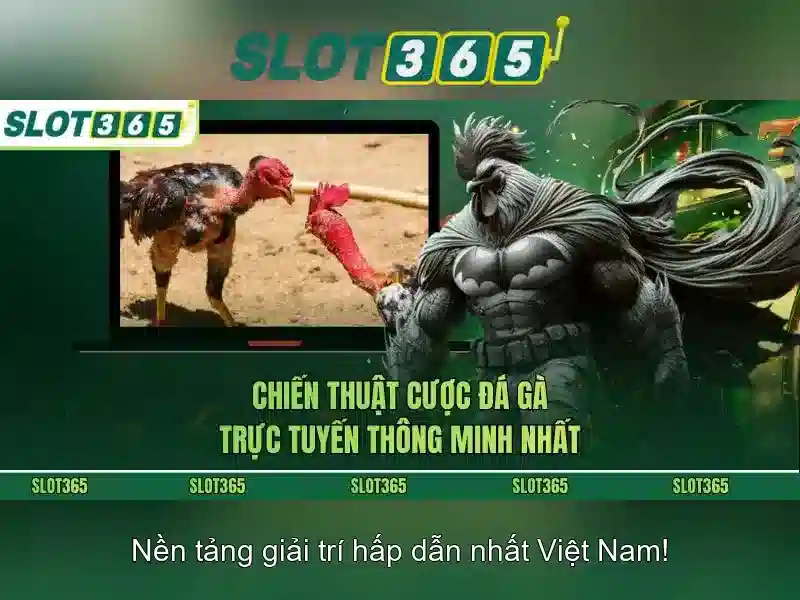 Các tính năng nổi bật