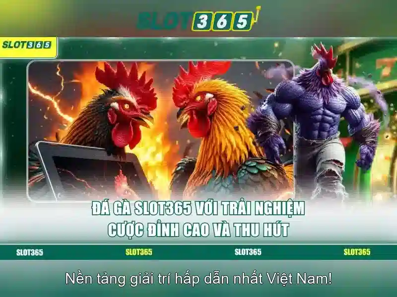 Khuyến mãi và chương trình thưởng\n<h3><b>An toàn và bảo mật</b></h3>\n<p><span style=