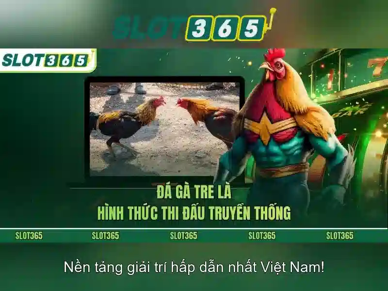 Slot365 là gì?