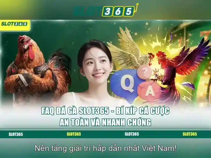 Slot365 - Đánh giá và trải nghiệm chơi slot trực tuyến