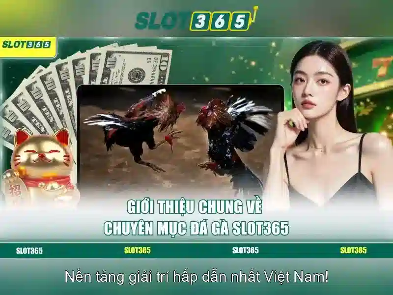 Slot365 là gì?