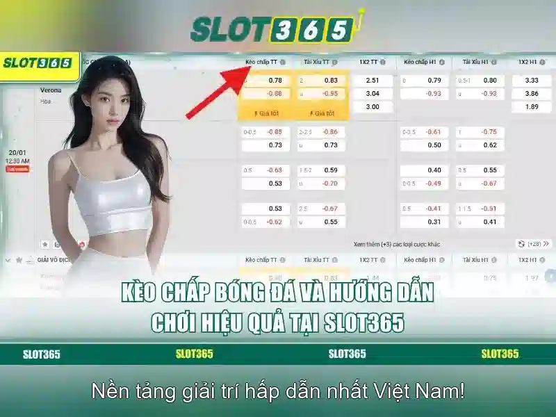 Trải nghiệm người chơi và sự sáng tạo của Slot365
