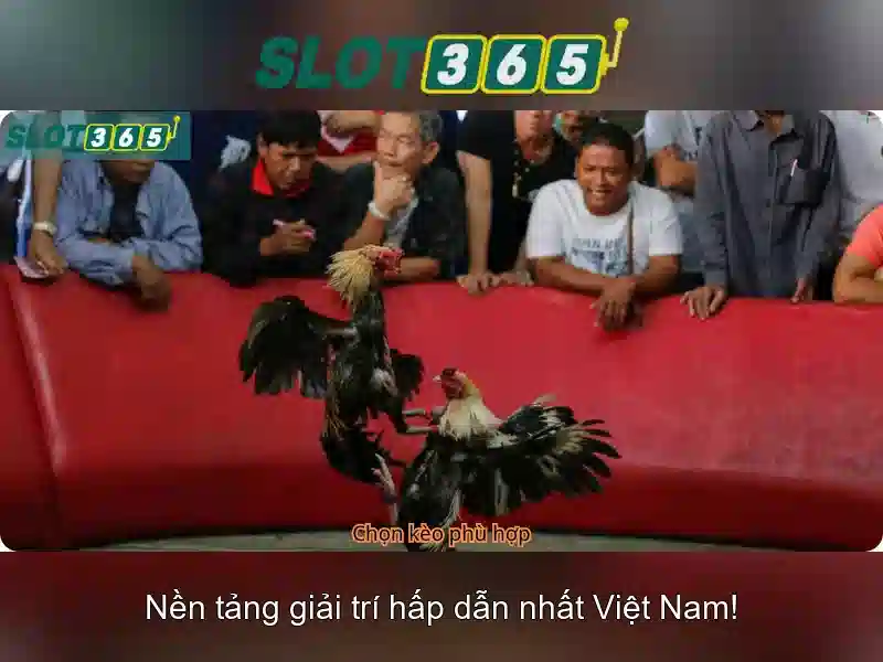 Giao diện người dùng