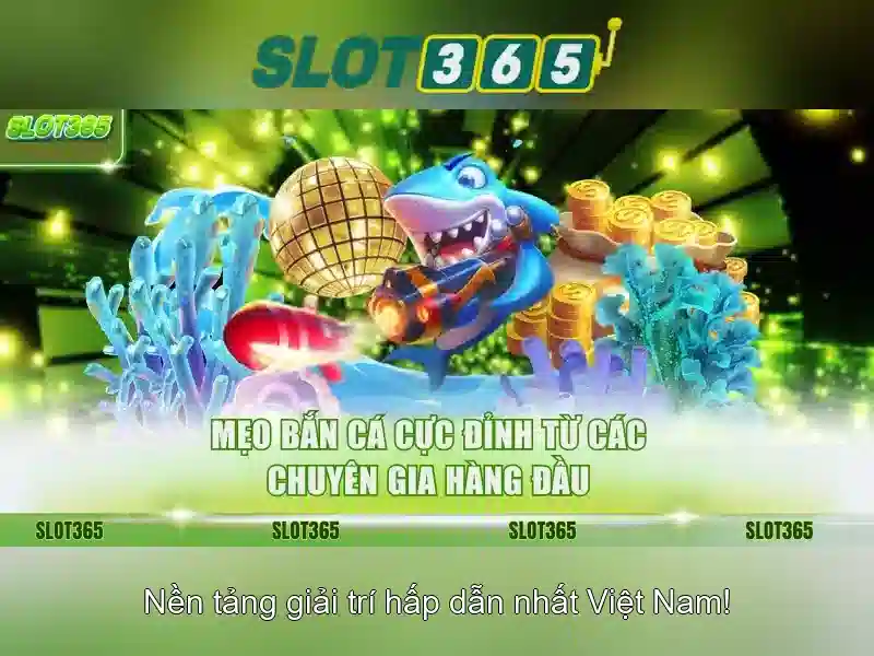 Slot365 – Tổng quan về nền tảng chơi slot trực tuyến