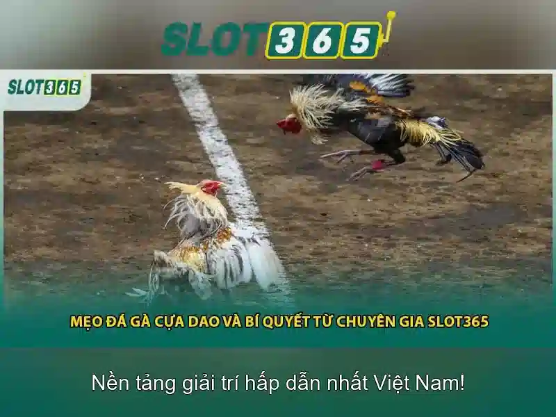 Slot365: Nền tảng slot trực tuyến hàng đầu và trải nghiệm người chơi