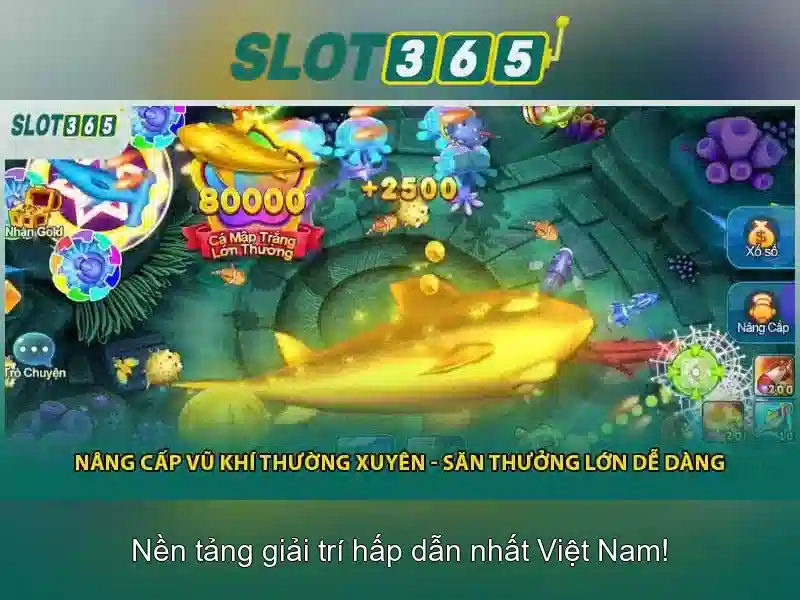 live slot365 – Tổng quan chủ đề và giá trị cốt lõi