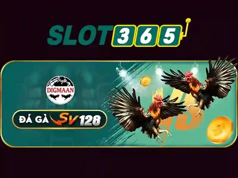 tải Slot365 – Tổng quan chủ đề và giá trị cốt lõi