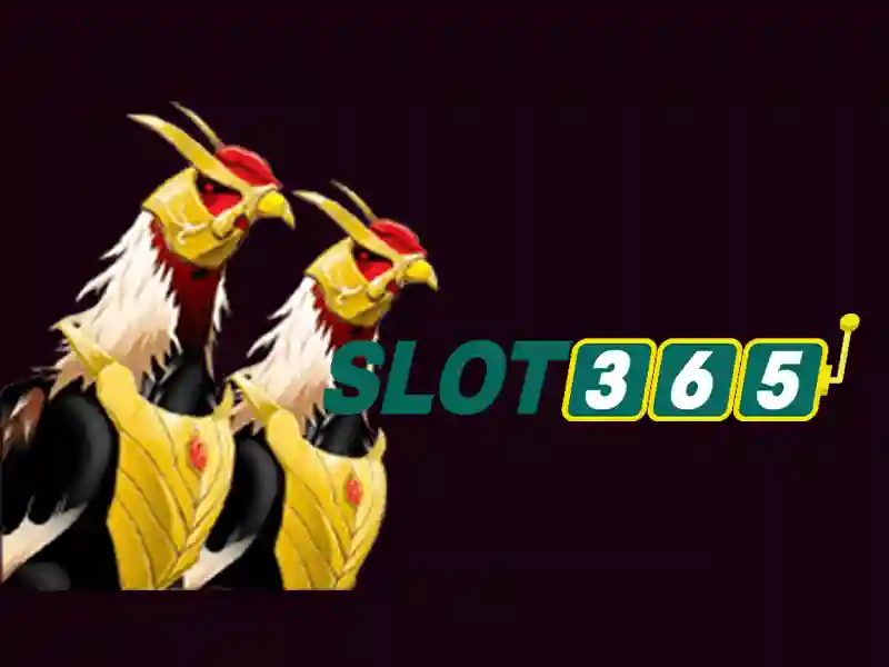 code Slot365 mới nhất: khám phá hiệu quả và trải nghiệm