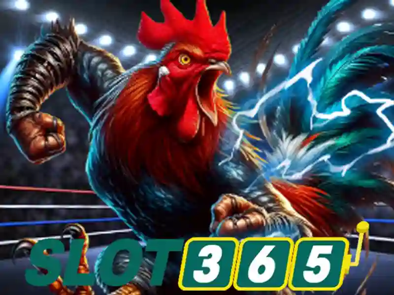 hoki slot365 – Tổng quan chủ đề và giá trị cốt lõi